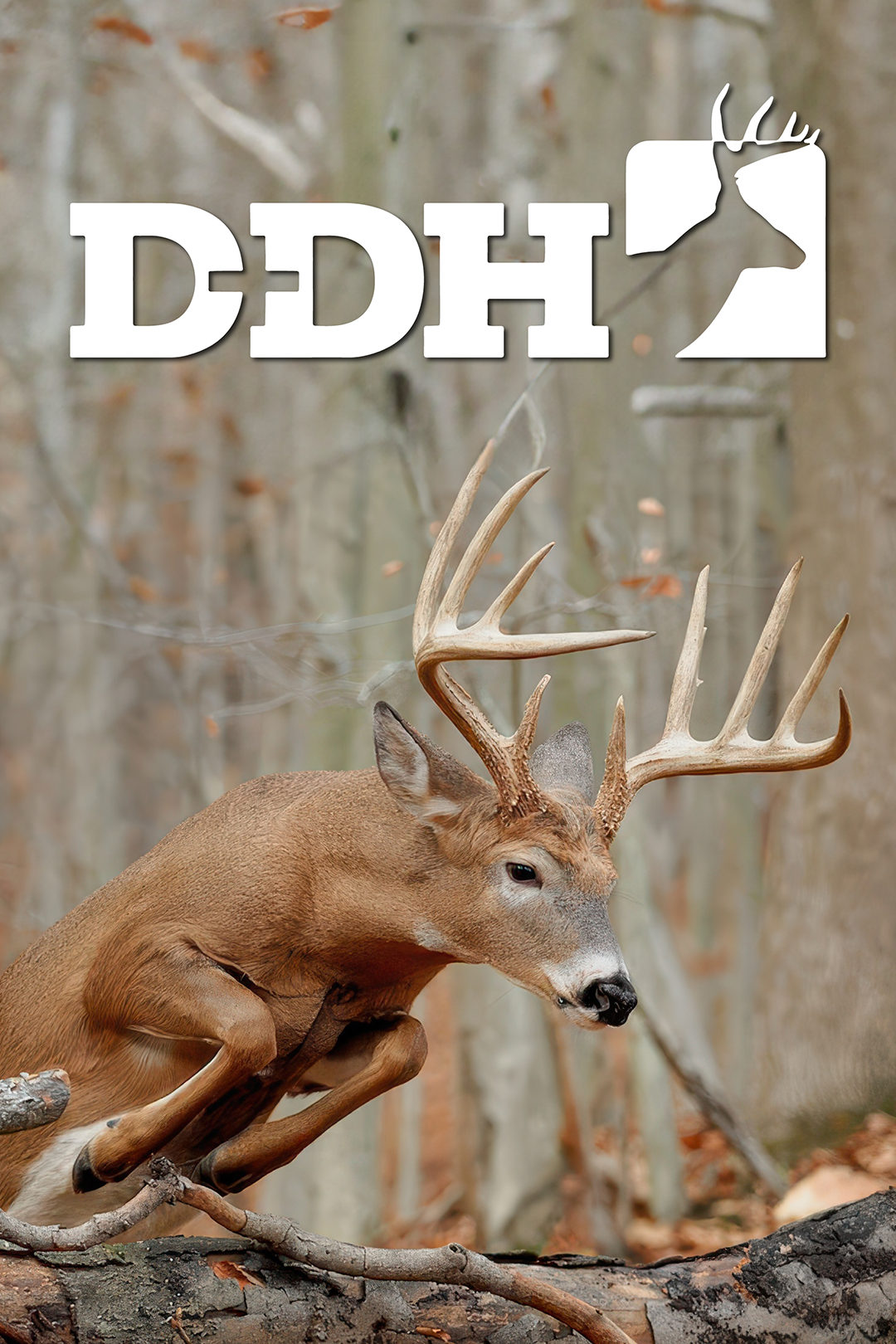 Deer & Deer Hunting TV