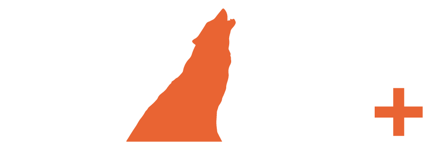 Wild TV Plus logo
